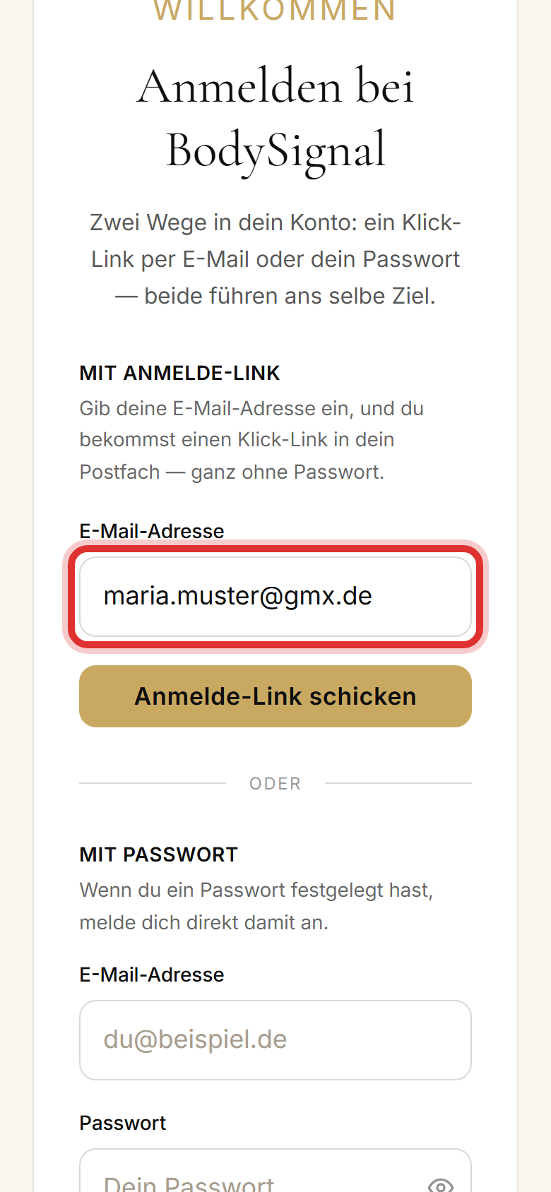 Das E-Mail-Feld mit einer eingetippten Adresse, rot eingekreist